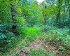 5718 Harrington Road, Freedom, Indiana 47431,MLS,202532461
