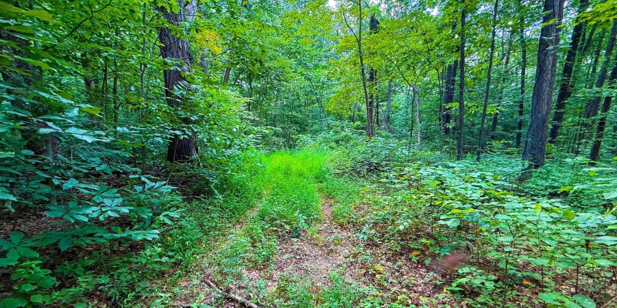 5718 Harrington Road, Freedom, Indiana 47431,MLS,202532461