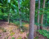 5718 Harrington Road, Freedom, Indiana 47431,MLS,202532461