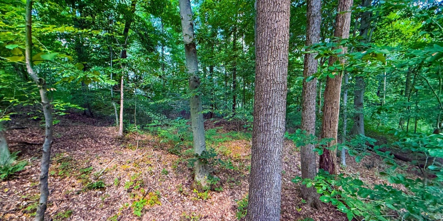 5718 Harrington Road, Freedom, Indiana 47431,MLS,202532461