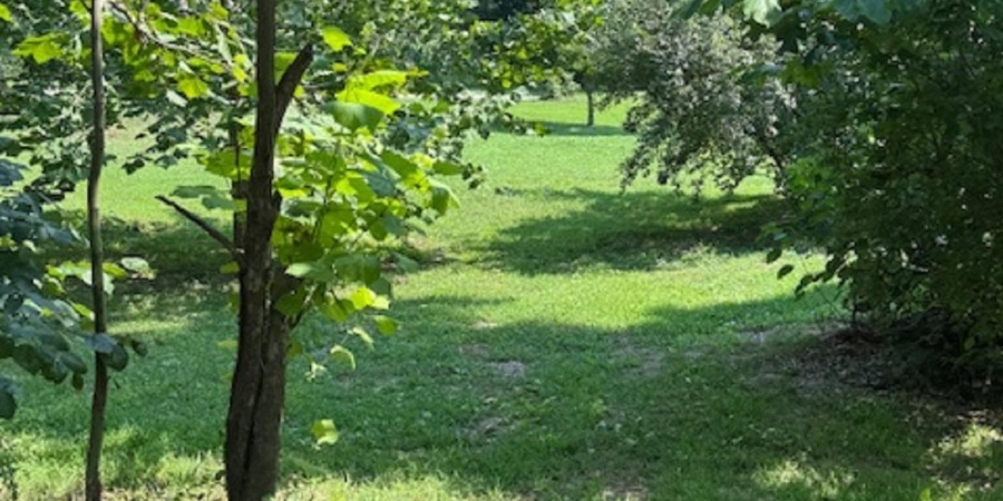 13695 E Ivan Court, Bloomington, Indiana 47403,MLS,202532800