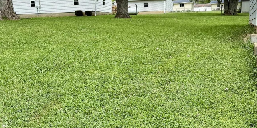 705 E Crestline Drive, Bloomington, Indiana 47401,MLS,202533524