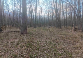 8671 Bullerdick Road, Poland, Indiana 47868,MLS,202534390