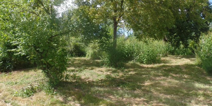 320 E Ohio Street, Jasonville, Indiana 47438,MLS,202534484