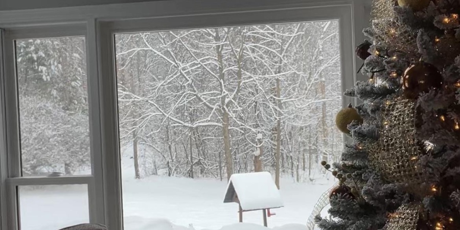 288 Concord Road, Spencer, Indiana 47460,MLS,202534871