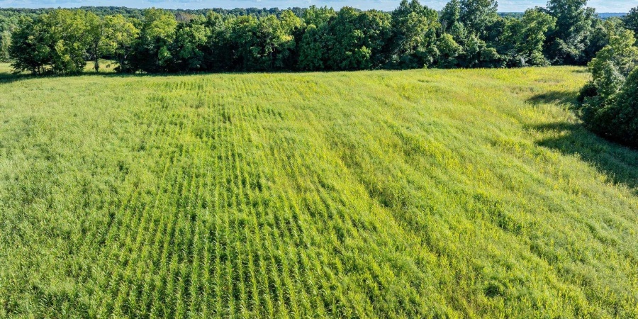 TBD S Snow Road, Bloomington, Indiana 47403,MLS,202535742