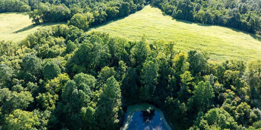 TBD S Snow Road, Bloomington, Indiana 47403,MLS,202535742