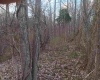 10801 Buckskin Road, Poland, Indiana 47868,MLS,202536060