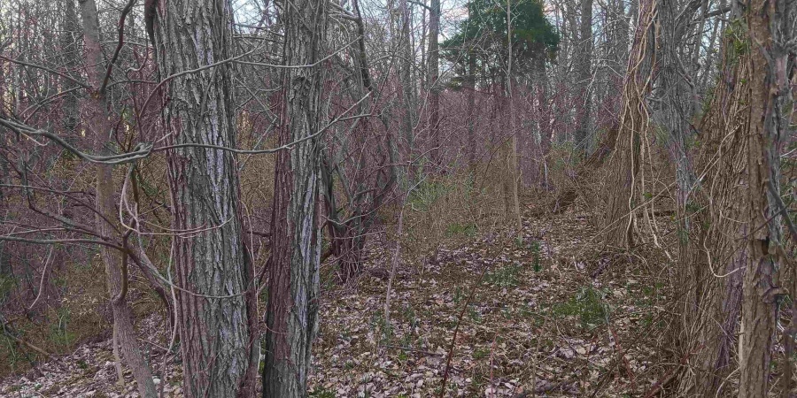 10801 Buckskin Road, Poland, Indiana 47868,MLS,202536060