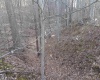 10801 Buckskin Road, Poland, Indiana 47868,MLS,202536060