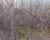 10801 Buckskin Road, Poland, Indiana 47868,MLS,202536060
