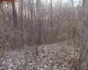 10801 Buckskin Road, Poland, Indiana 47868,MLS,202536060