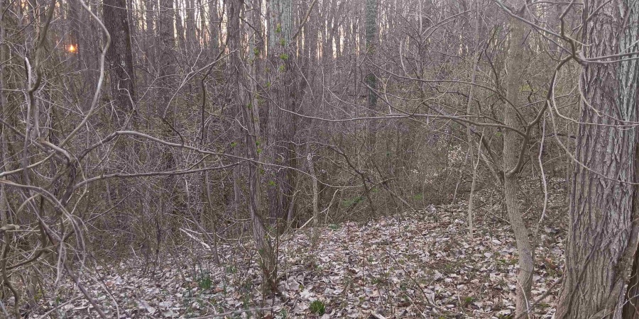 10801 Buckskin Road, Poland, Indiana 47868,MLS,202536060