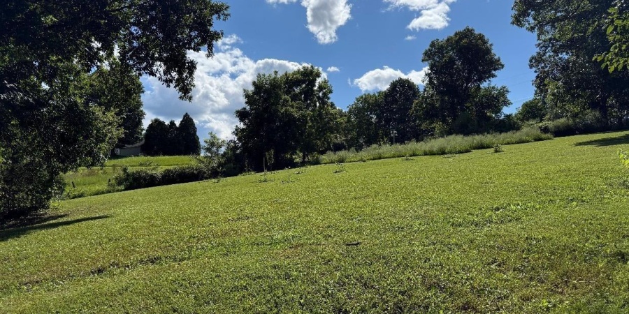 918 N Harv Wright Road, Bloomfield, Indiana 47424,MLS,202536119