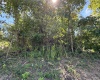 732 W Thornridge Way, Spencer, Indiana 47460,MLS,202536536