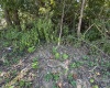732 W Thornridge Way, Spencer, Indiana 47460,MLS,202536536