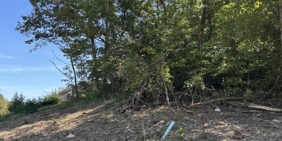 732 W Thornridge Way, Spencer, Indiana 47460,MLS,202536536