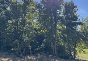 732 W Thornridge Way, Spencer, Indiana 47460,MLS,202536536