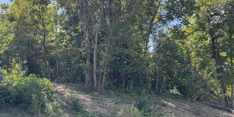 732 W Thornridge Way, Spencer, Indiana 47460,MLS,202536536