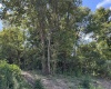 732 W Thornridge Way, Spencer, Indiana 47460,MLS,202536536
