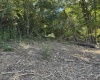 732 W Thornridge Way, Spencer, Indiana 47460,MLS,202536536