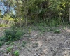 732 W Thornridge Way, Spencer, Indiana 47460,MLS,202536536