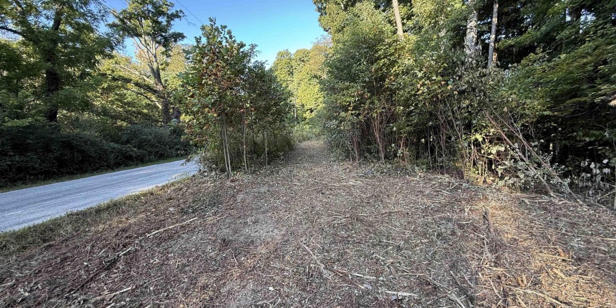 0 Braysville Road, Spencer, Indiana 47460,MLS,202536563