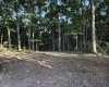 0 Braysville Road, Spencer, Indiana 47460,MLS,202536563