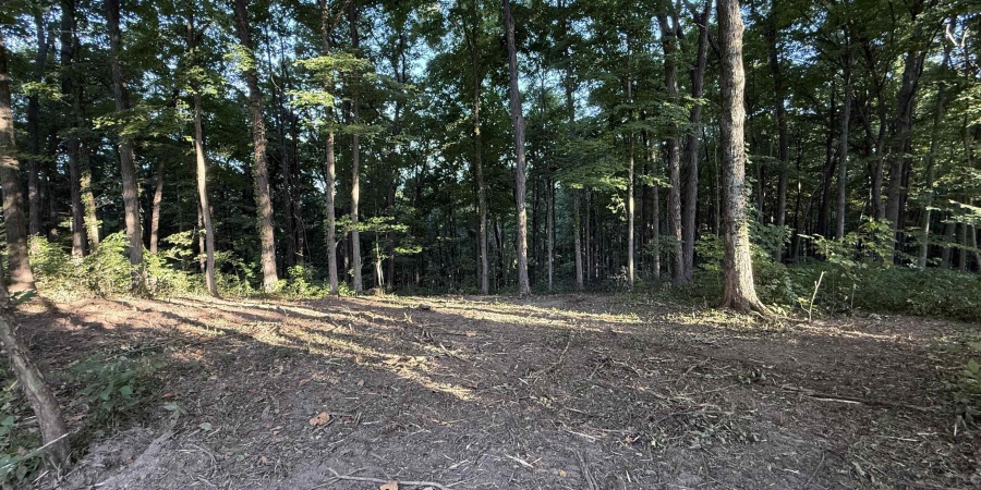 0 Braysville Road, Spencer, Indiana 47460,MLS,202536563