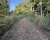 0 Braysville Road, Spencer, Indiana 47460,MLS,202536563