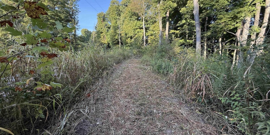 0 Braysville Road, Spencer, Indiana 47460,MLS,202536563