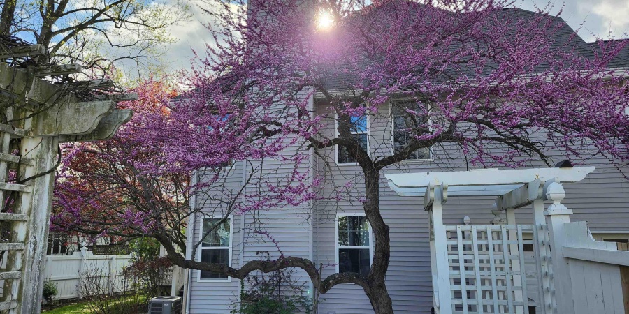 1930 E Rock Creek Drive, Bloomington, Indiana 47401,MLS,202536643