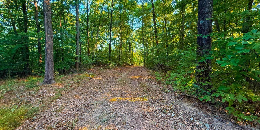 5267 E Prince Road, Heltonville, Indiana 47436,MLS,202537207