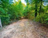 5267 E Prince Road, Heltonville, Indiana 47436,MLS,202537207