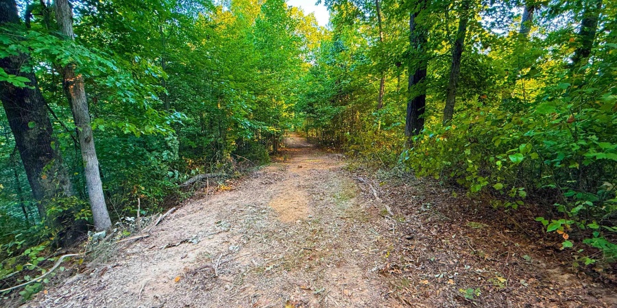 5267 E Prince Road, Heltonville, Indiana 47436,MLS,202537207