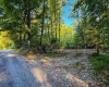5267 E Prince Road, Heltonville, Indiana 47436,MLS,202537207