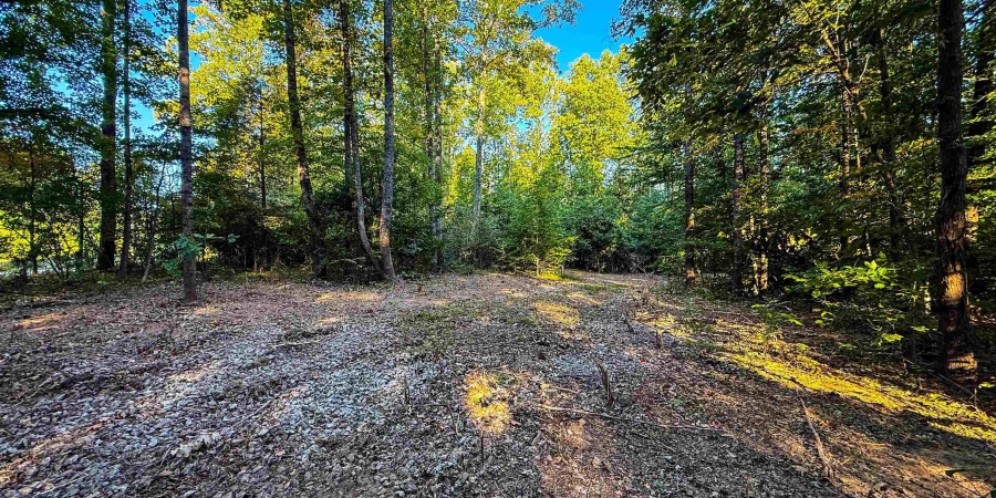 5267 E Prince Road, Heltonville, Indiana 47436,MLS,202537207