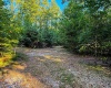 5267 E Prince Road, Heltonville, Indiana 47436,MLS,202537207