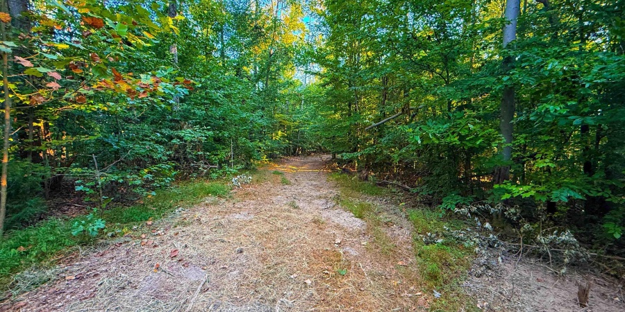 5267 E Prince Road, Heltonville, Indiana 47436,MLS,202537207
