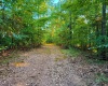 5267 E Prince Road, Heltonville, Indiana 47436,MLS,202537207