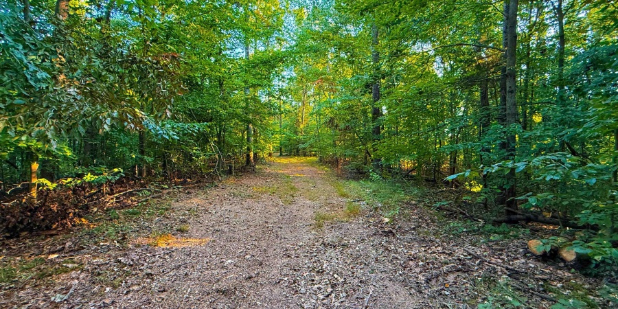 5267 E Prince Road, Heltonville, Indiana 47436,MLS,202537207