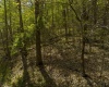 8608 E Bay Street, Nashville, Indiana 47448,MLS,202537423