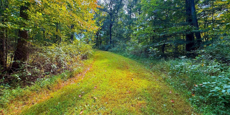 0 E Scotland Road, Bloomfield, Indiana 47424,MLS,202537621