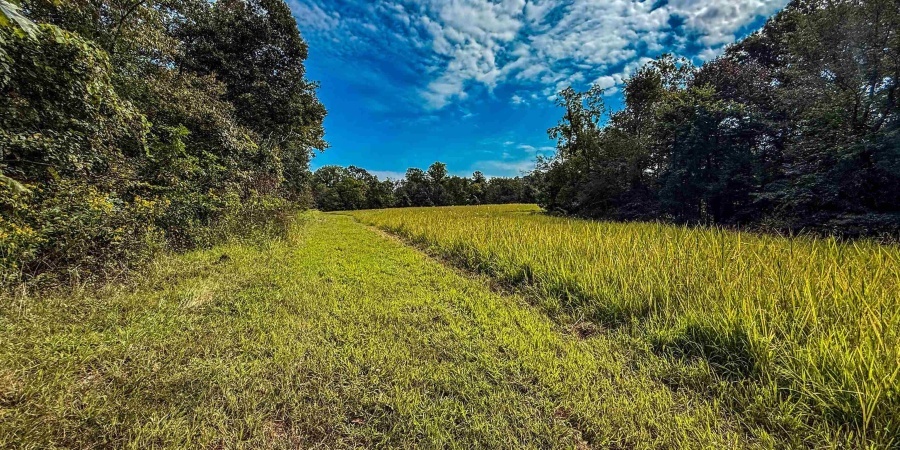 0 E Scotland Road, Bloomfield, Indiana 47424,MLS,202537621