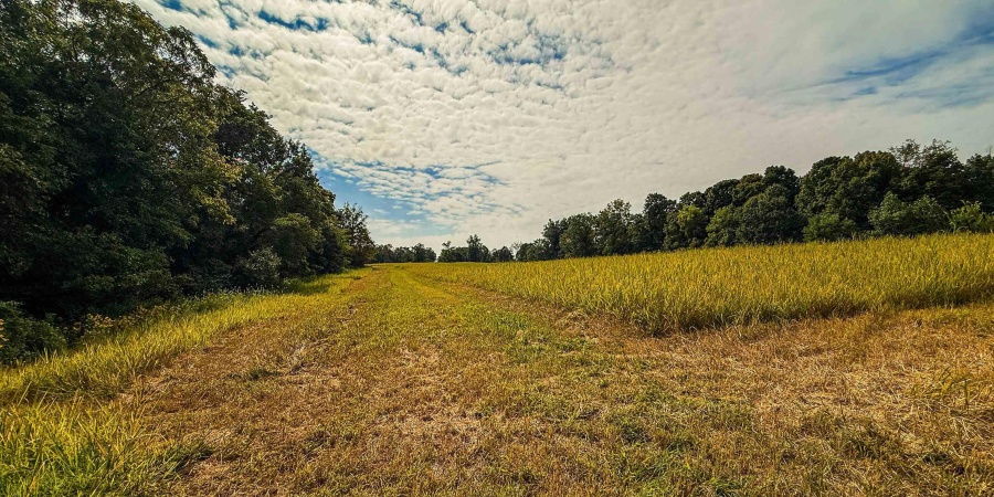 0 E Scotland Road, Bloomfield, Indiana 47424,MLS,202537621