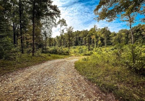 0 E Scotland Road, Bloomfield, Indiana 47424,MLS,202537621