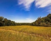 0 E Scotland Road, Bloomfield, Indiana 47424,MLS,202537621