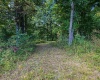 0 E Scotland Road, Bloomfield, Indiana 47424,MLS,202537621