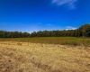 0 E Scotland Road, Bloomfield, Indiana 47424,MLS,202537621