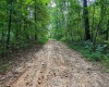 0 E Scotland Road, Bloomfield, Indiana 47424,MLS,202537621